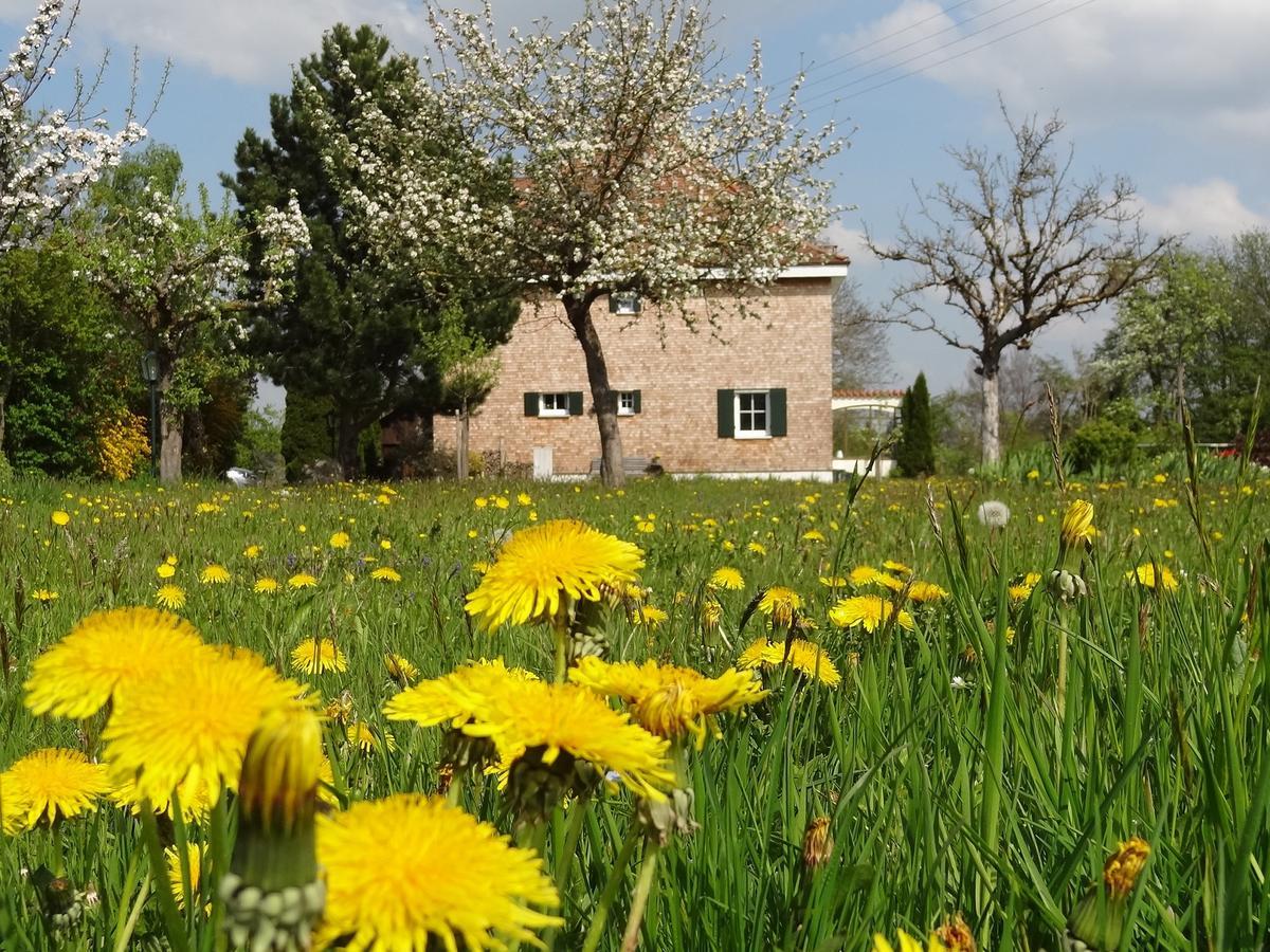 Landhaus Löwenzahn Unteregg Exterior foto